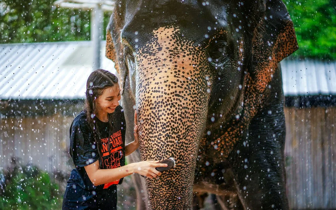 Phuket Elephant Jungle Sanctuary: Feed, Shower & Mud Spa Guided Tours with Optional Transfers Image 4