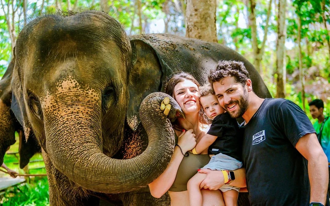 Phuket Lily Elephant Camp by the Beach: Feed & Shower Guided Tours with Optional Transfers Image 1