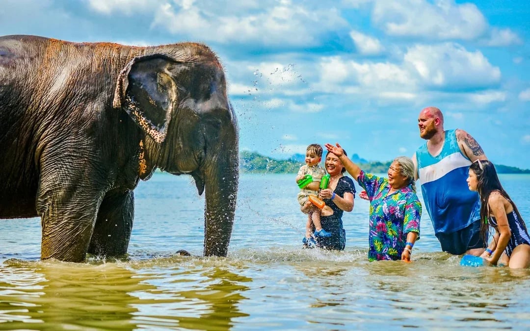 Phuket Lily Elephant Camp by the Beach: Feed & Shower Guided Tours with Optional Transfers Image 7