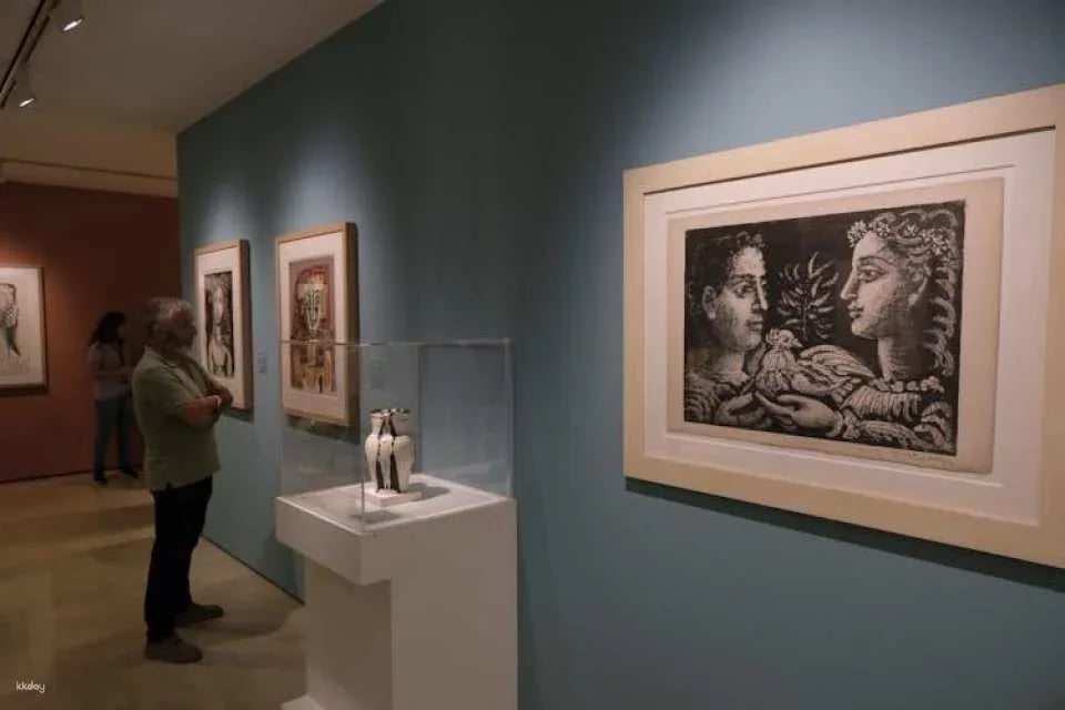 Picasso Birthplace Museum skip-the-line-tickets