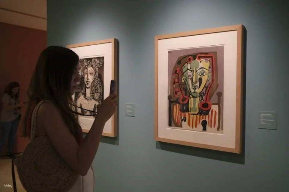 Picasso Birthplace Museum skip-the-line-tickets