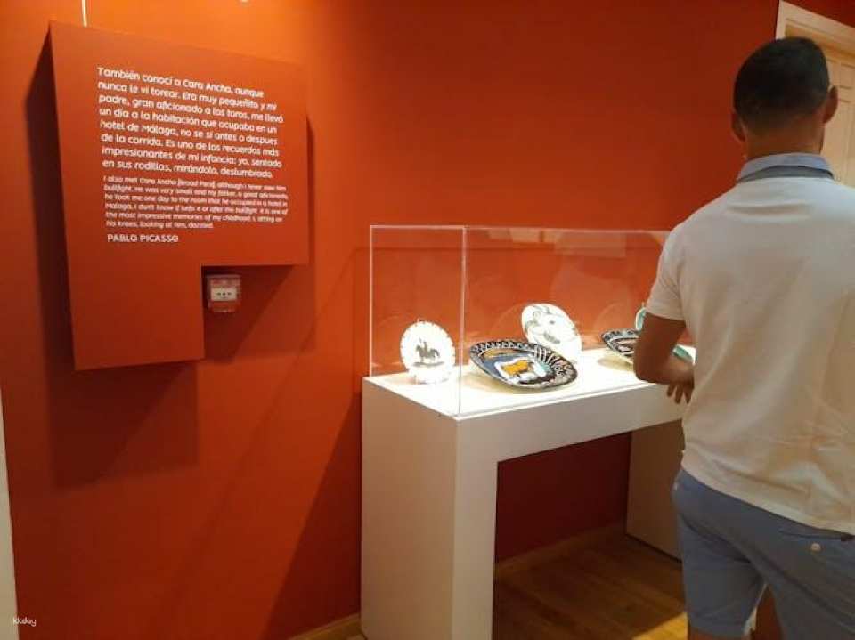 Picasso Birthplace Museum skip-the-line-tickets