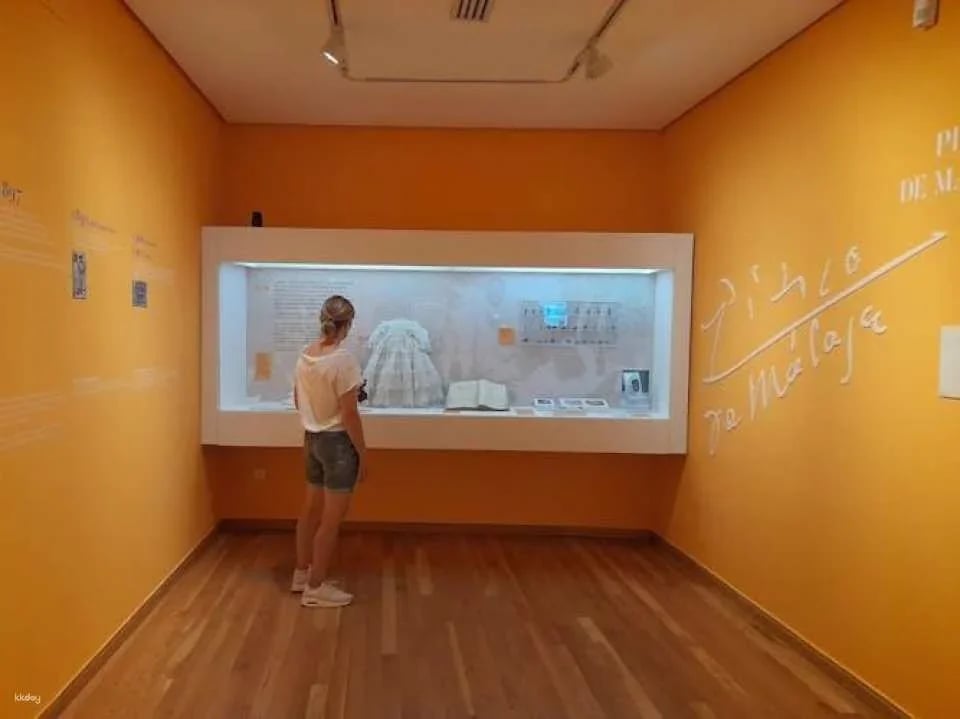 Picasso Birthplace Museum skip-the-line-tickets