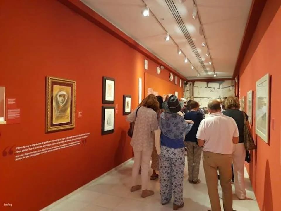Picasso Birthplace Museum skip-the-line-tickets