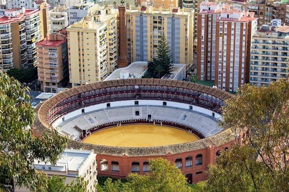 Picasso Guided Walking Tour in Malaga