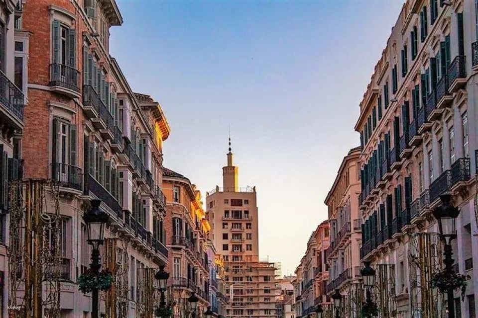 Picasso Guided Walking Tour in Malaga