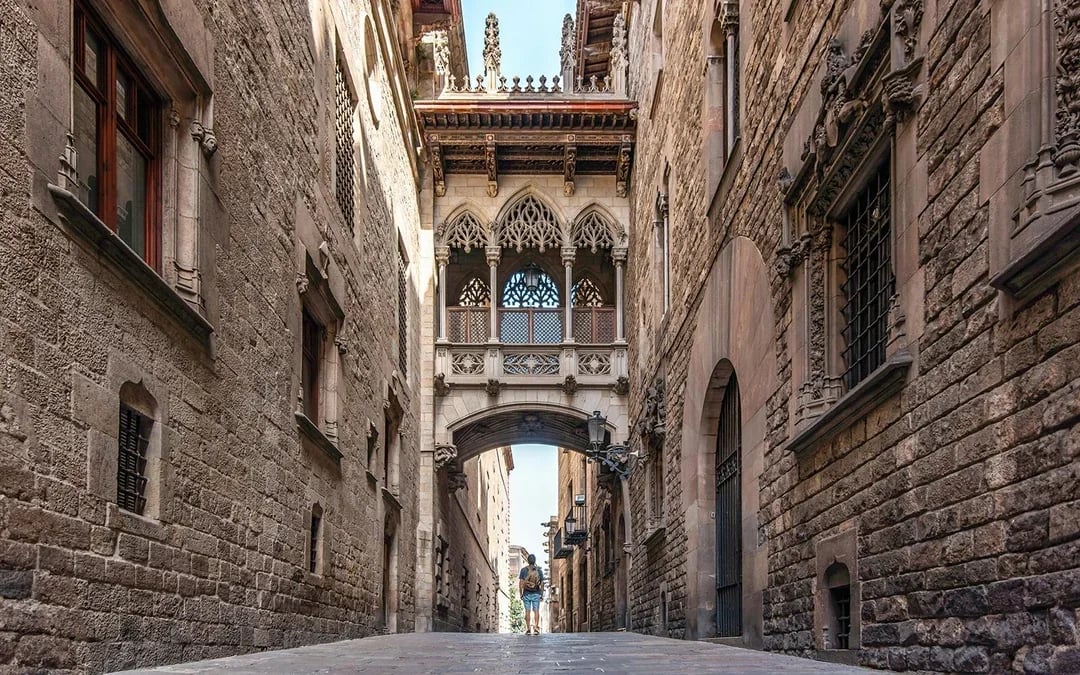 Picasso in Barcelona Tour With Museum Entry + Wine and Tasting Upgrade Image 12
