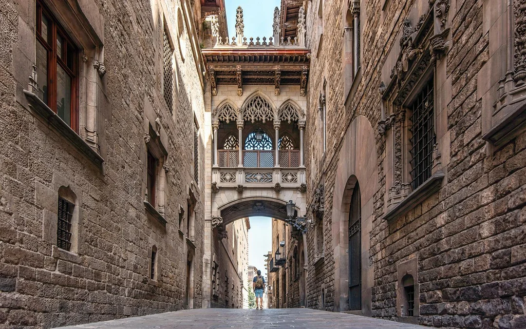 Picasso in Barcelona Tour With Museum Entry + Wine and Tasting Upgrade Image 12