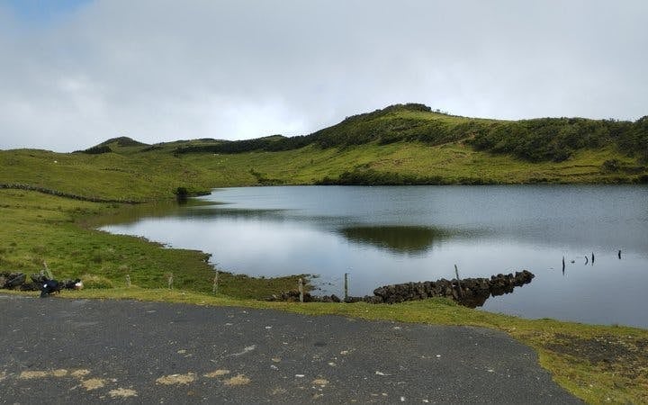 Pico Island Highlands and Volcanic Lagoons Guided Tour Image 4
