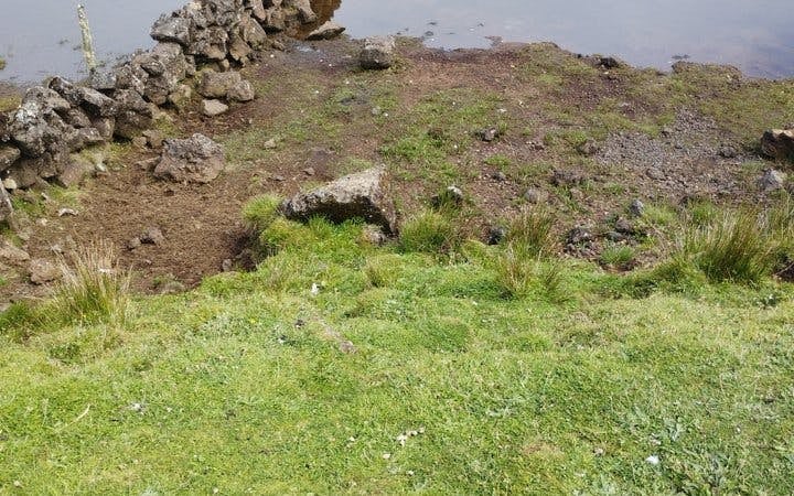 Pico Island Highlands and Volcanic Lagoons Guided Tour Image 6