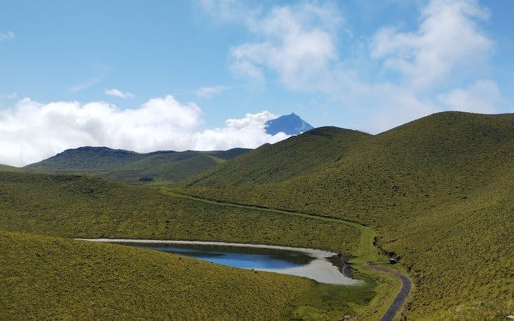 Pico Island Highlands and Volcanic Lagoons Guided Tour Image 7
