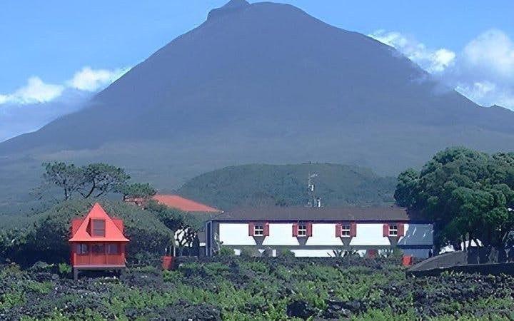 Pico Island UNESCO Vineyard Landscape Guided Tour with Museum and Wine Producer Visits Image 5