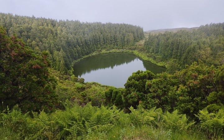 Pico Island Volcanic Lakes and Highlands Small-Group Guided Tour Image 7