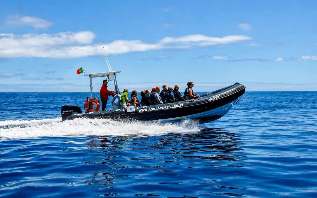 Pico Island: Whale Watching Boat Tour Image 2