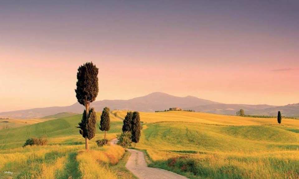 Pienza and Montepulciano food and wine tour from Siena