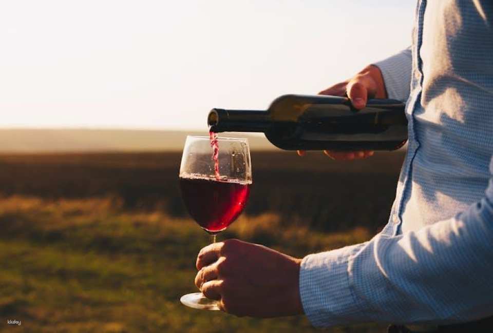 Pienza and Montepulciano food and wine tour from Siena
