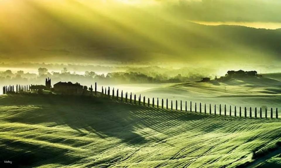 Pienza and Montepulciano food and wine tour from Siena