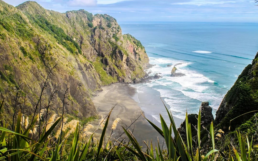 Piha Beach, Rainforest and Mount Eden Private Guided Tour from Auckland Image 2