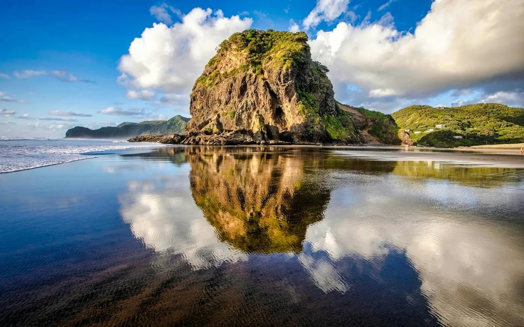 Piha Beach, Rainforest and Mount Eden Private Guided Tour from Auckland Image 4