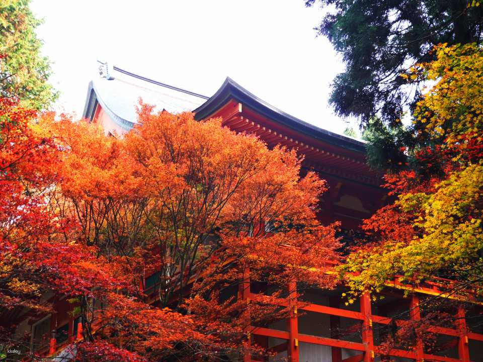 Pilgrimage fee to the various halls of Enryaku-ji Temple on Mount Hiei (Otsu City, Shiga Prefecture)