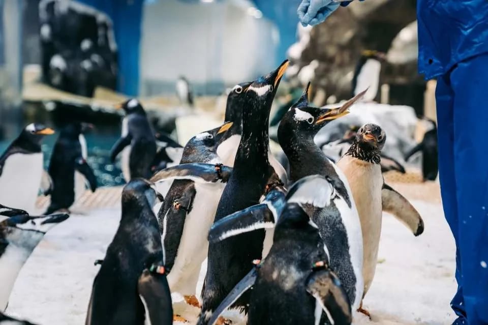 Pingtung National Museum of Marine Biology & Aquarium | Fish with You • Mini Guided Family Camp • Me and the Penguins in 0.1 Millimeters • Exploring the Intertidal Zone During the Day • Nighttime Tidal Wave Party