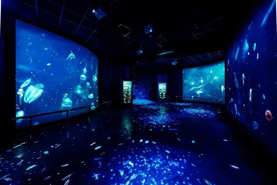 Pingtung National Museum of Marine Biology & Aquarium | Fish with You • Mini Guided Family Camp • Me and the Penguins in 0.1 Millimeters • Exploring the Intertidal Zone During the Day • Nighttime Tidal Wave Party