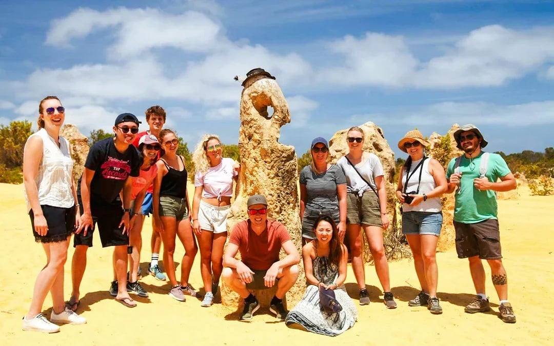 Pinnacles, Lobster Shack, & Lavender Farm Tour with Round-Trip Transfers Image 3