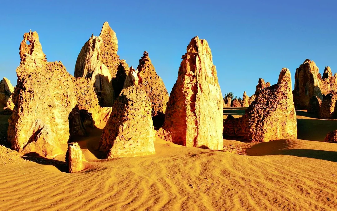 Pinnacles, Sandboarding & Wildlife Spotting 4WD Tour with Lunch & Round-Trip Transfers Image 2