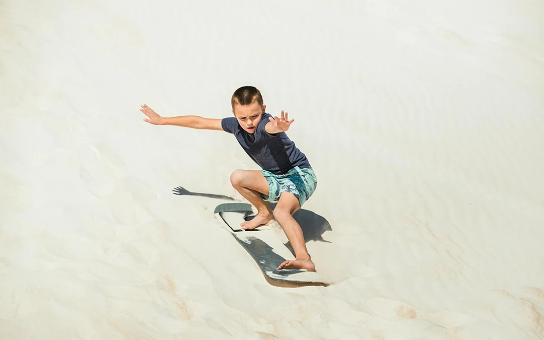 Pinnacles, Sandboarding & Wildlife Spotting 4WD Tour with Lunch & Round-Trip Transfers Image 3