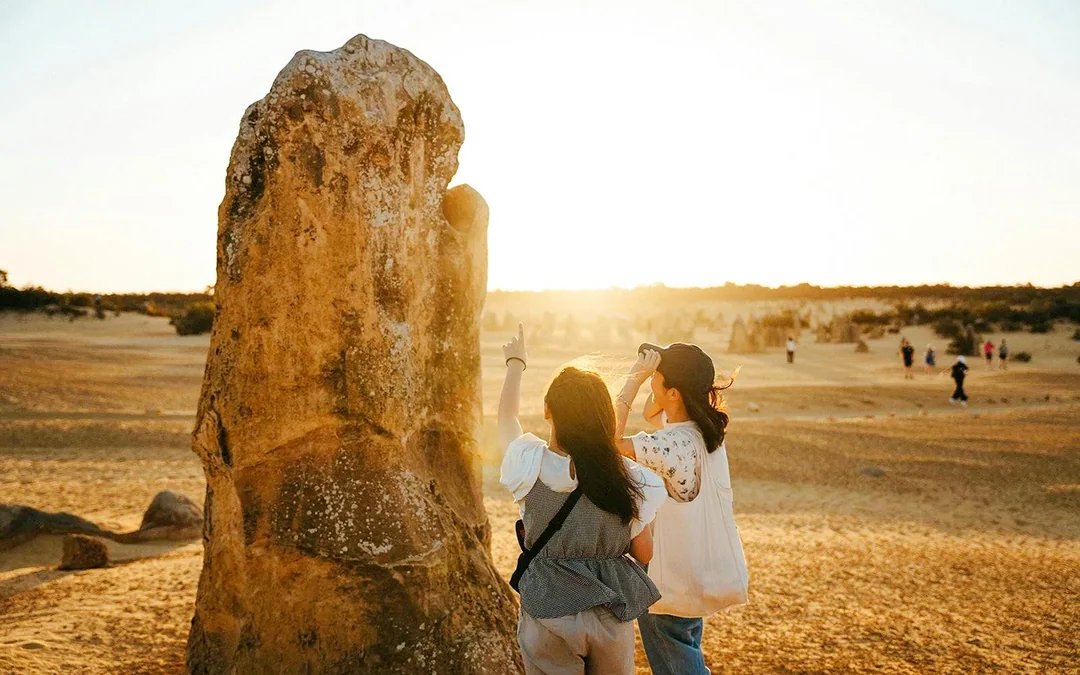Pinnacles Sunset, Stargazing, & Wildlife Spotting Tour with Tavern Dinner & Round-Trip Transfers Image 3