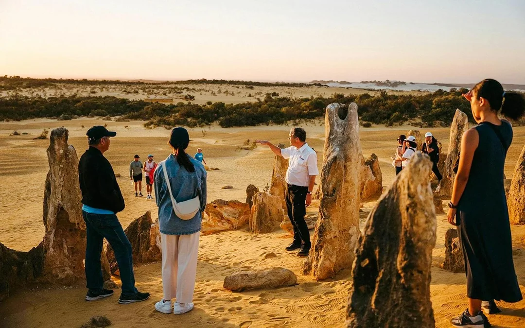 Pinnacles Sunset, Stargazing, & Wildlife Spotting Tour with Tavern Dinner & Round-Trip Transfers Image 4