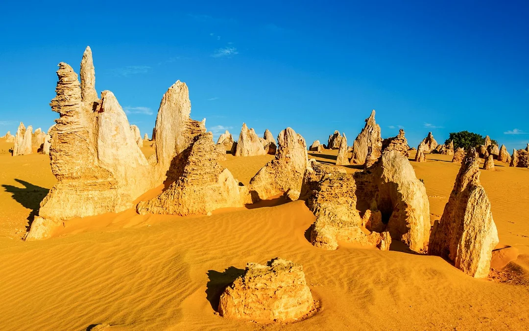 Pinnacles, Wildlife Spotting & Swan Valley Tour with Round-Trip Transfers & Lunch Image 1