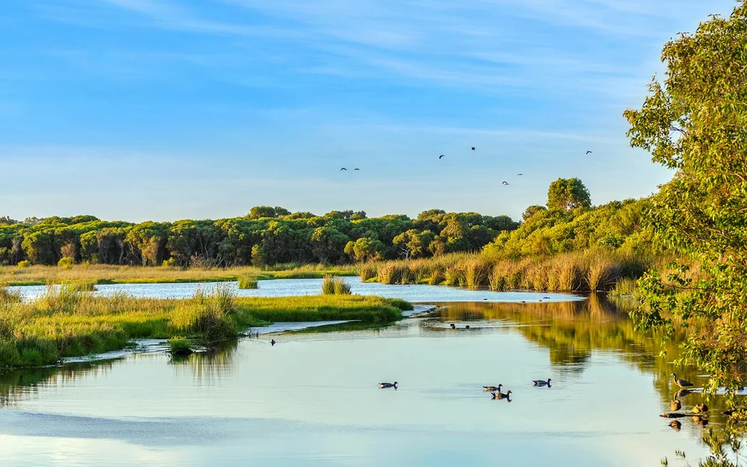Pinnacles, Wildlife Spotting & Swan Valley Tour with Round-Trip Transfers & Lunch Image 2