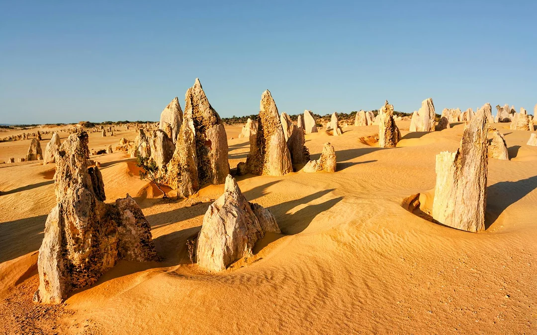 Pinnacles, Wildlife Spotting & Swan Valley Tour with Round-Trip Transfers & Lunch Image 10