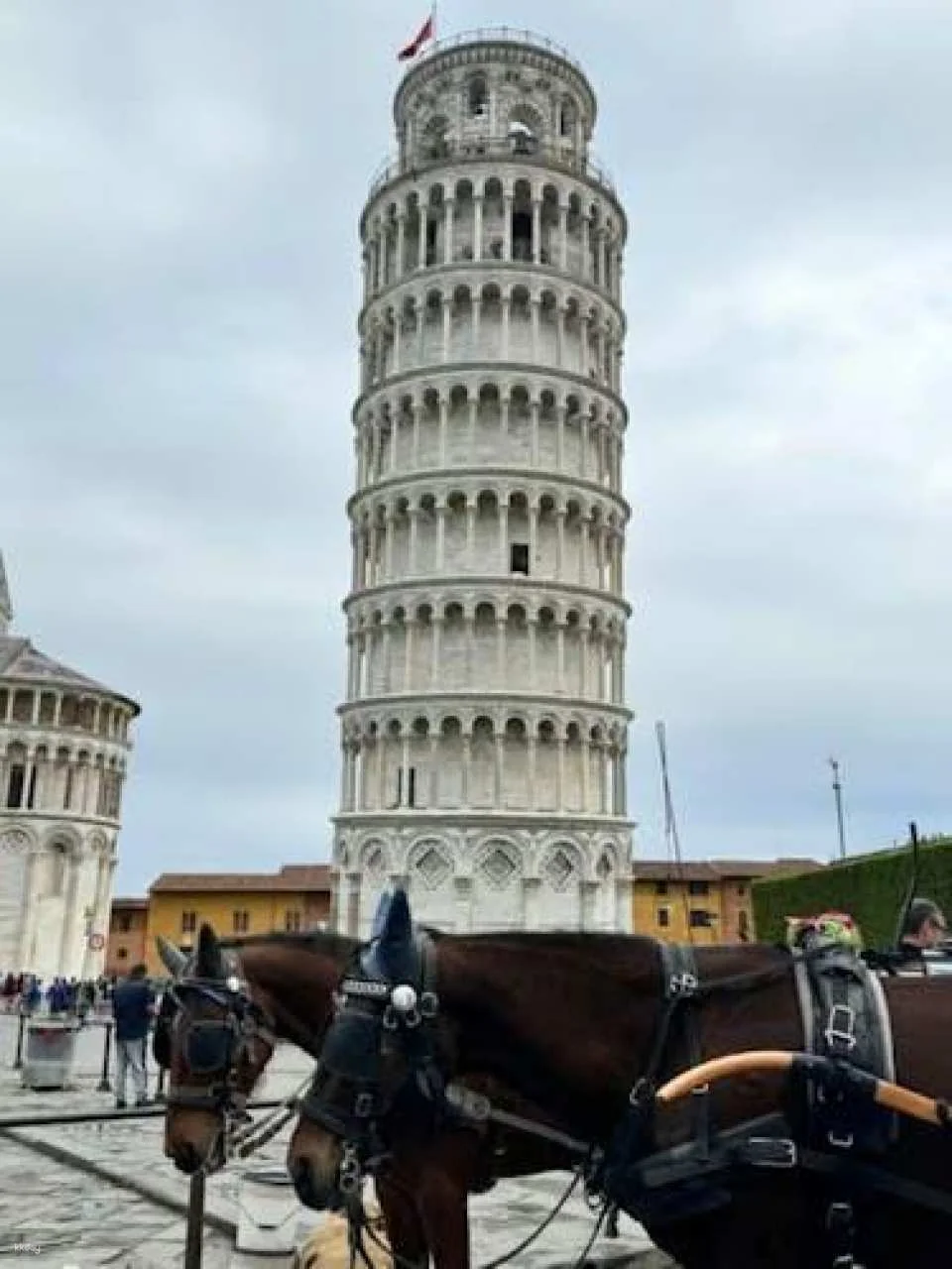 Pisa, San Gimignano, Siena and Chianti day trip with lunch