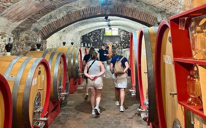 Pisa, Vinci, and Tuscan Winery Small-Group Day Tour with Wine and Olive Oil Tasting Image 4