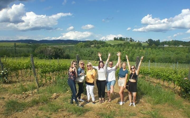 Pisa, Vinci, and Tuscan Winery Small-Group Day Tour with Wine and Olive Oil Tasting Image 7