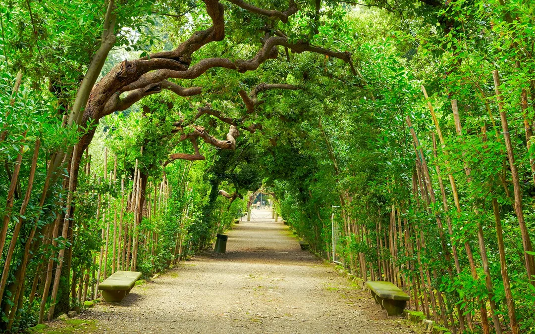 Pitti Palace, Palatine Gallery & Boboli Gardens Guided Tour Image 4