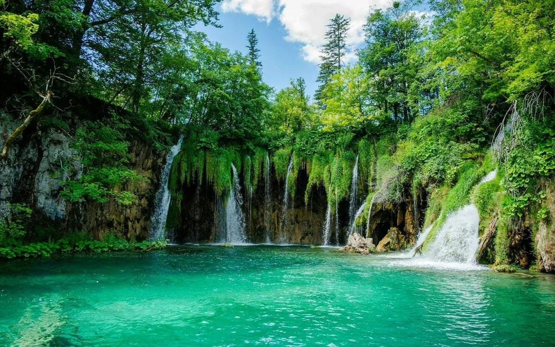 Plitvice Lakes Early Morning Small-Group Guided Tour  Image 3