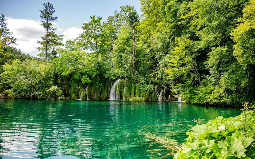Plitvice Lakes Early Morning Small-Group Guided Tour  Image 6