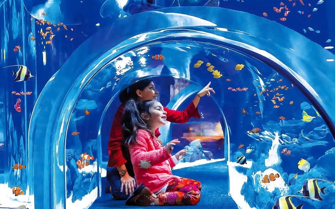 Poema del Mar Aquarium Tickets Image 1