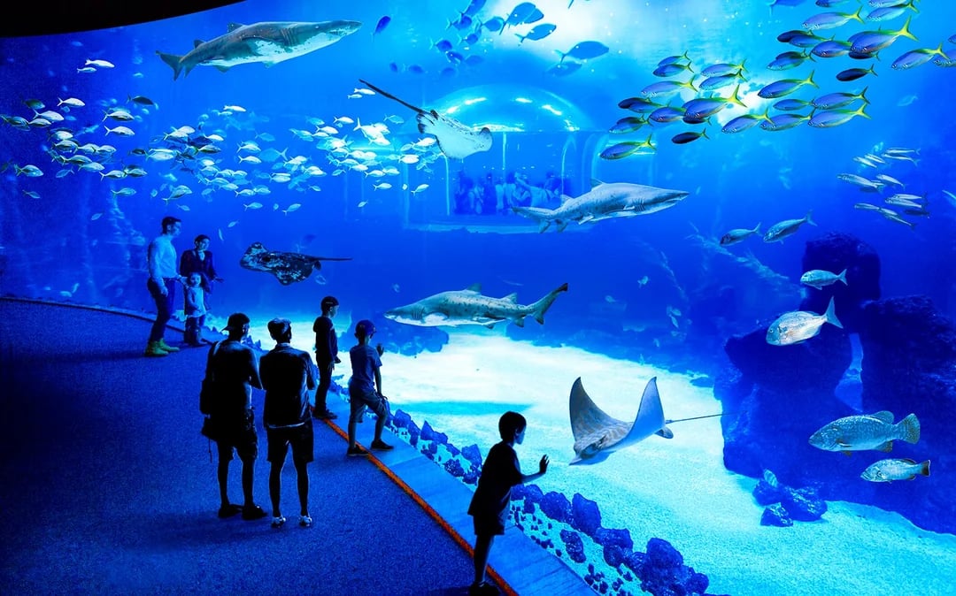 Poema del Mar Aquarium Tickets Image 2