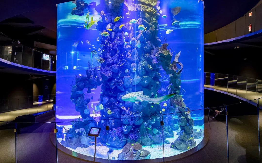 Poema del Mar Aquarium Tickets Image 5
