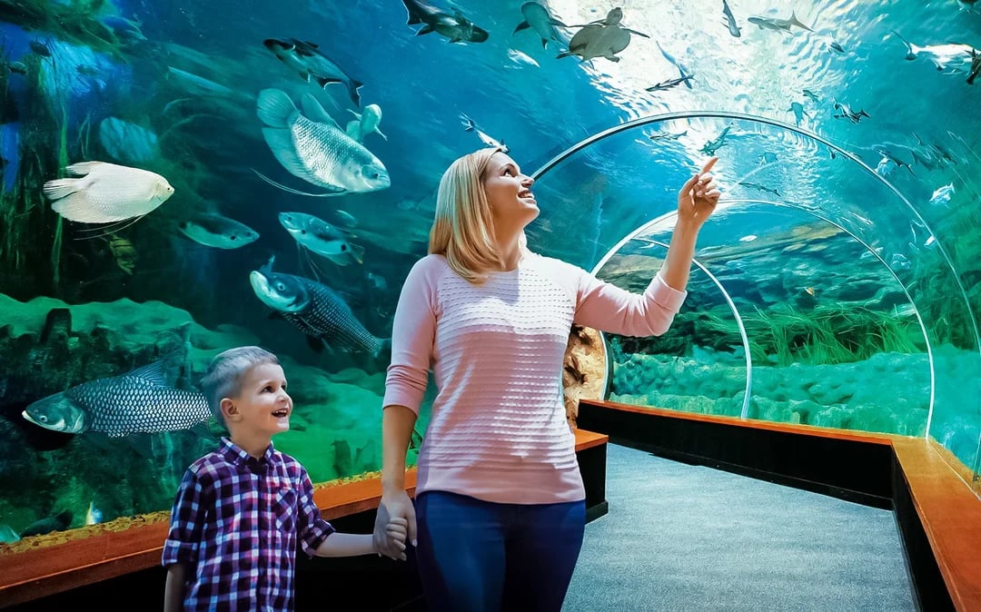 Poema del Mar Aquarium Tickets Image 6