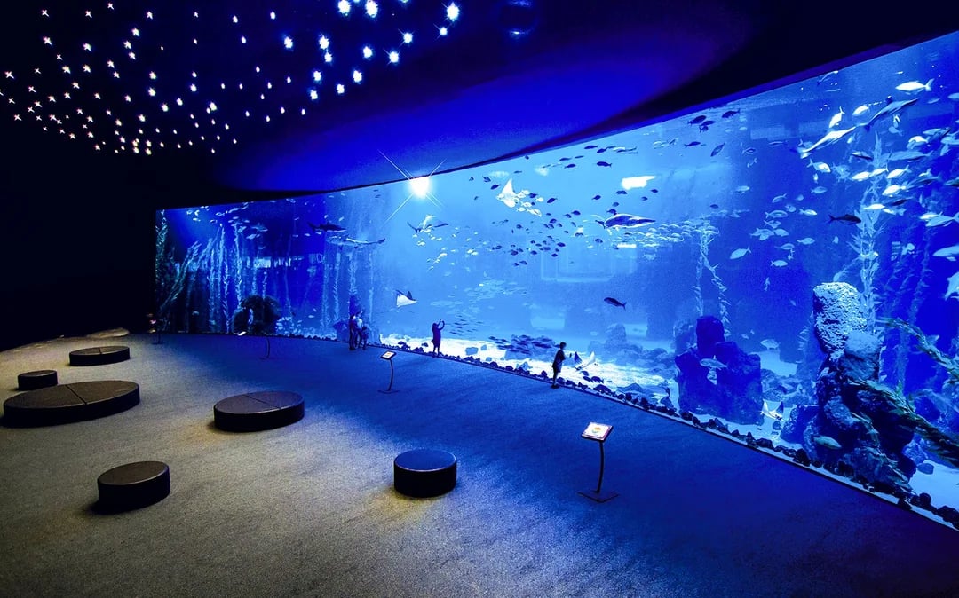 Poema del Mar Aquarium Tickets Image 10