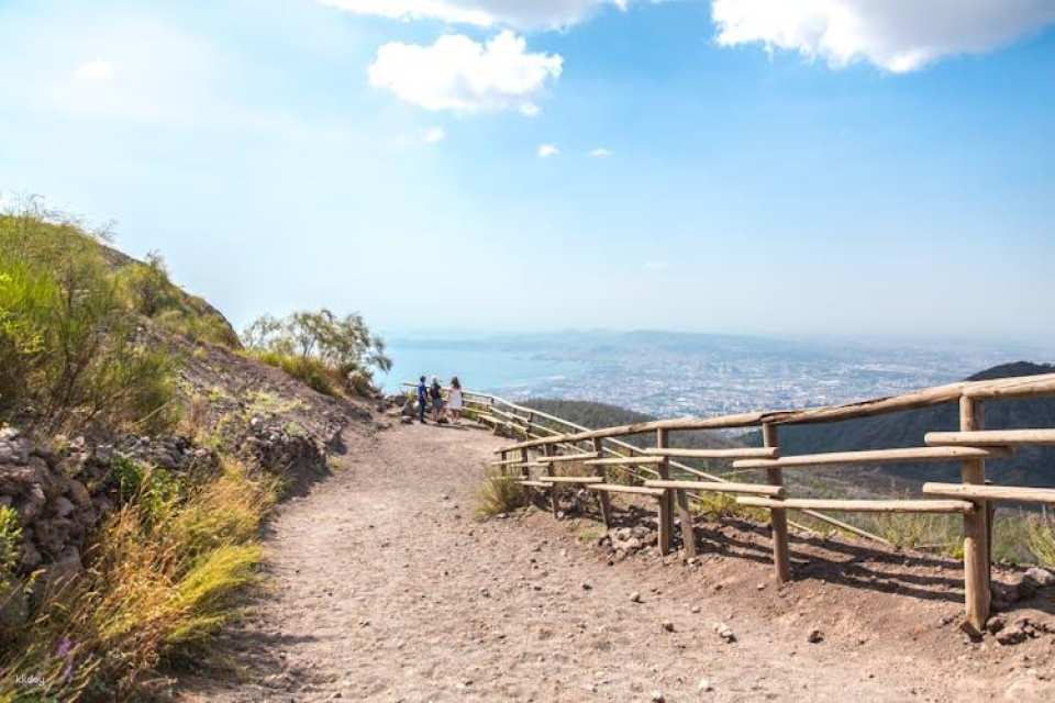 Pompeii and Vesuvius volcano skip the line guided tour from Sorrento