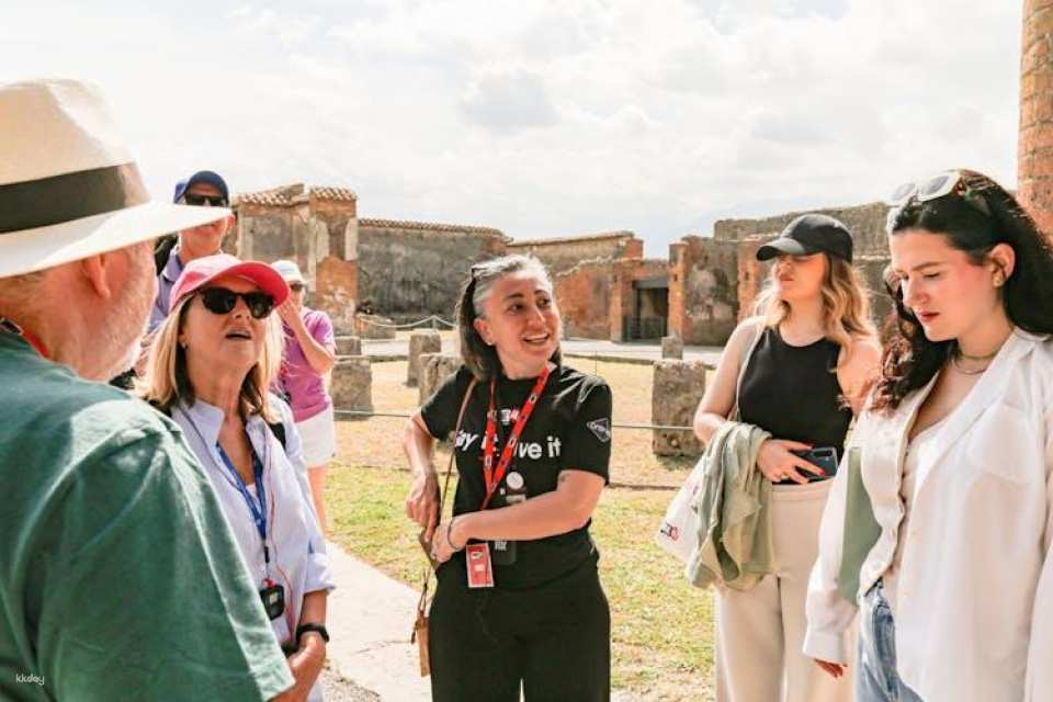 Pompeii and Vesuvius volcano skip the line guided tour from Sorrento
