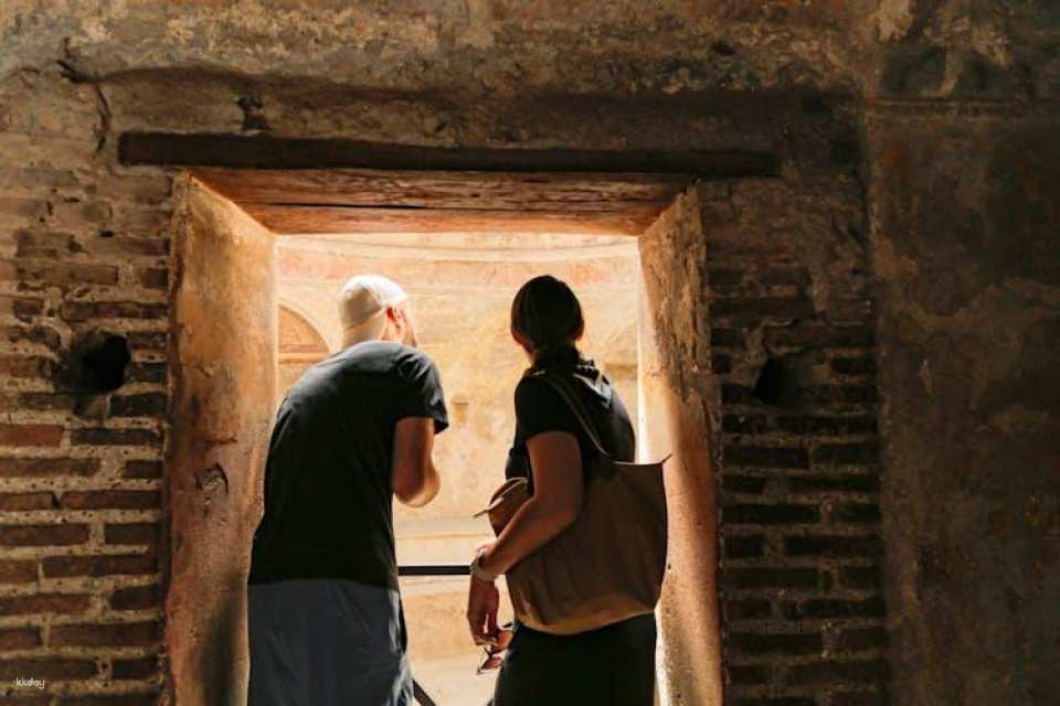 Pompeii and Vesuvius volcano skip the line guided tour from Sorrento