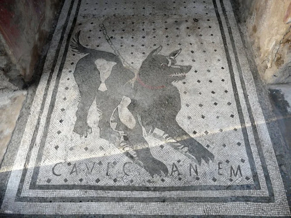 Pompeii Skip-the-Line Tickets with Audio Guide