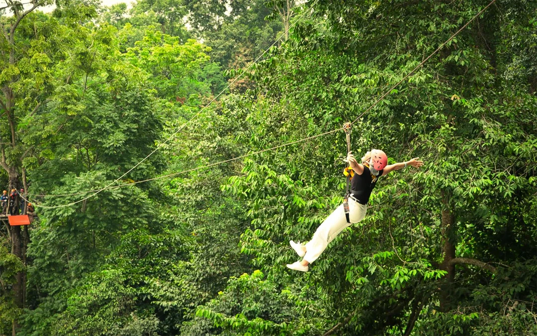 Pongyang Jungle Coaster: All-inclusive Adventure Packages (With Transfers) Image 3